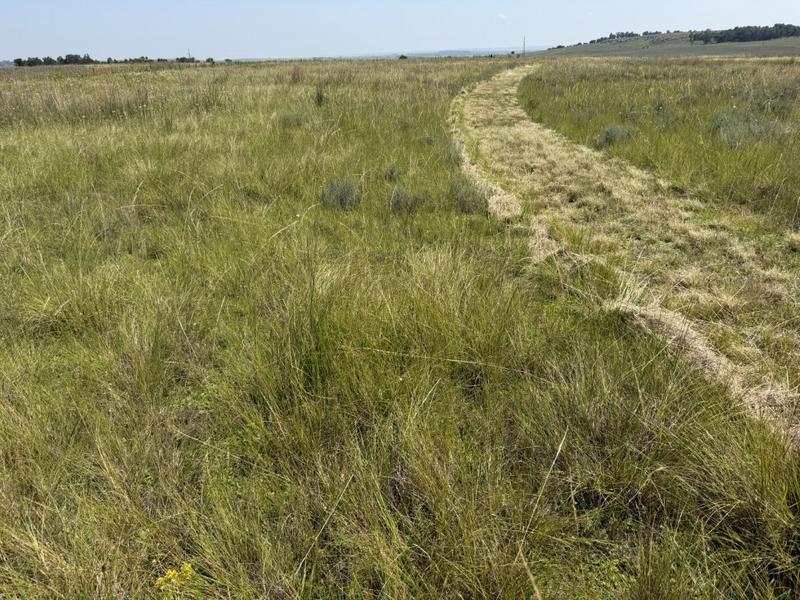 0 Bedroom Property for Sale in Bethlehem Rural Free State